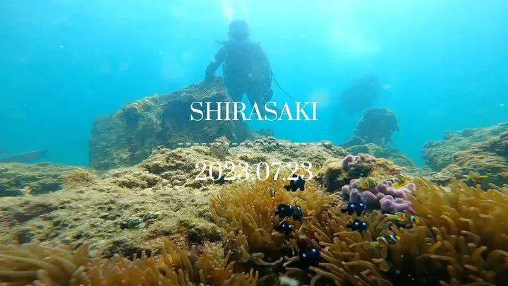 2023.07.23 白崎シャクシノ浜へ🏝️